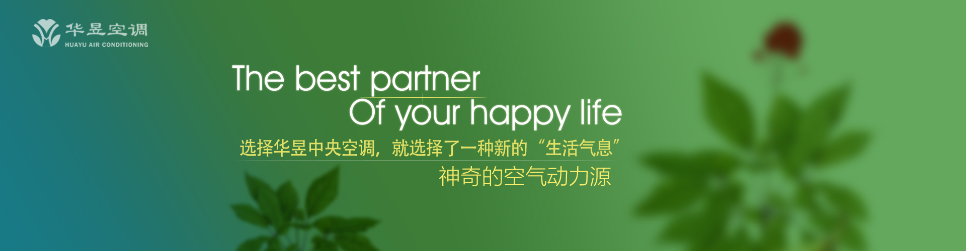 雅俗共赏网
